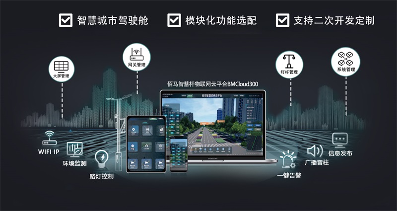 智慧路燈桿物聯(lián)網(wǎng)云平臺(tái).jpg